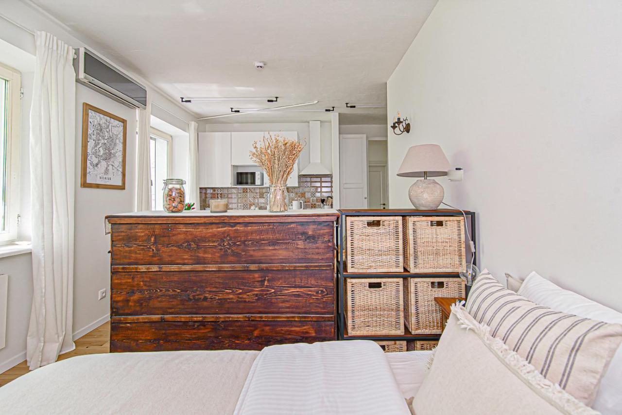 Cozy Studio In The Heart Of Vilnius Old Town ภายนอก รูปภาพ
