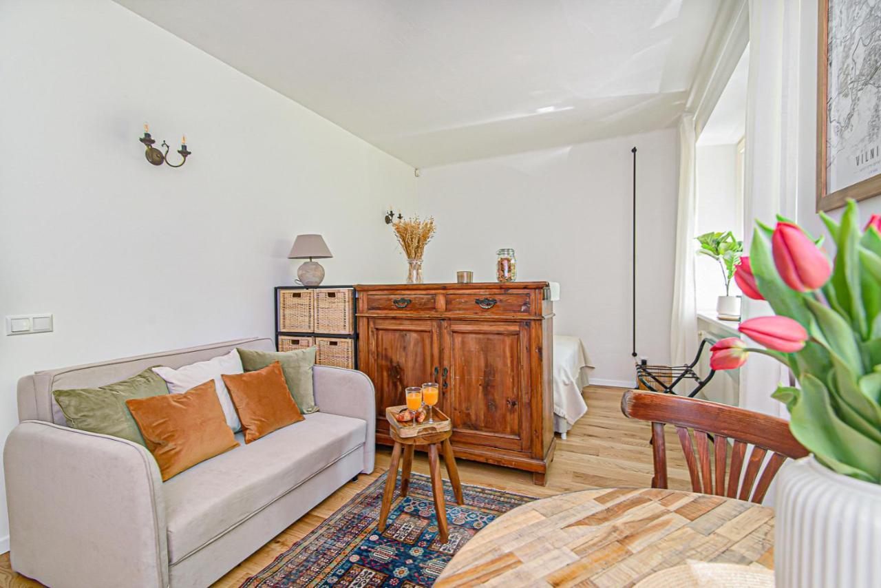 Cozy Studio In The Heart Of Vilnius Old Town ภายนอก รูปภาพ